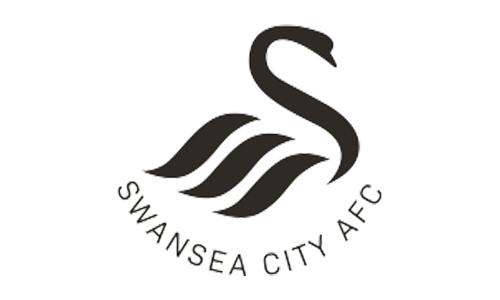 Academy Physiotherapist